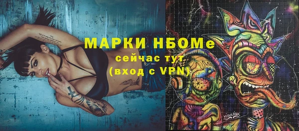 прущие грибы Белокуриха