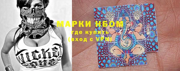 прущие грибы Белокуриха