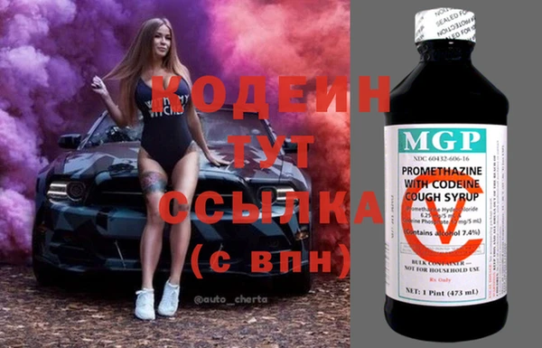 прущие грибы Белокуриха