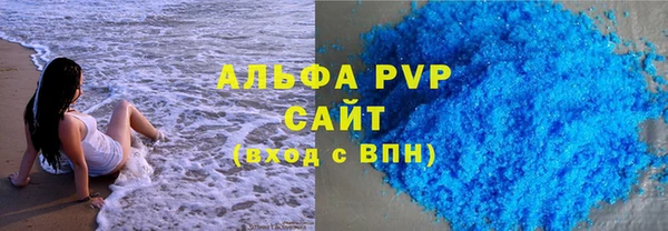 прущие грибы Белокуриха
