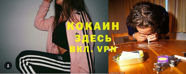 ГАЛЛЮЦИНОГЕННЫЕ ГРИБЫ Балахна